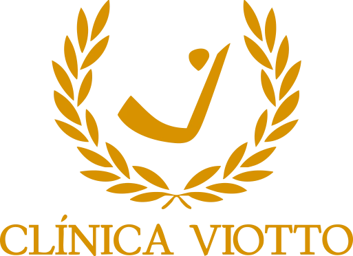 logo viotto